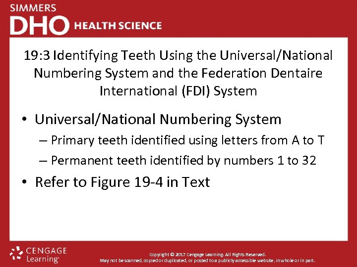 19: 3 Identifying Teeth Using the Universal/National Numbering System and the Federation Dentaire International