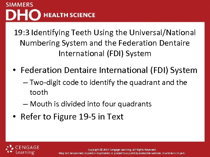 19: 3 Identifying Teeth Using the Universal/National Numbering System and the Federation Dentaire International