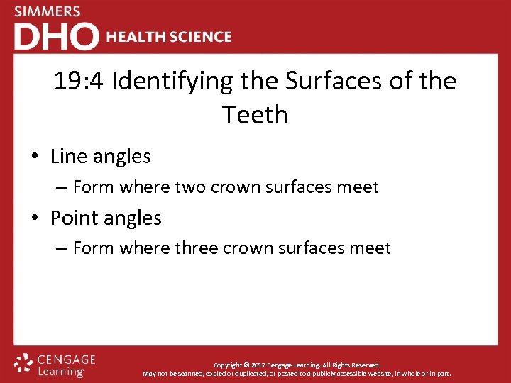19: 4 Identifying the Surfaces of the Teeth • Line angles – Form where