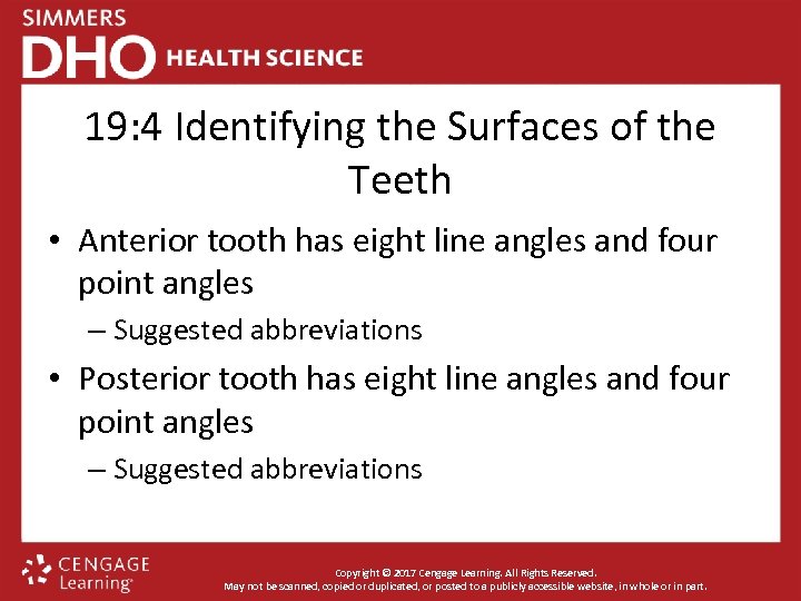 19: 4 Identifying the Surfaces of the Teeth • Anterior tooth has eight line