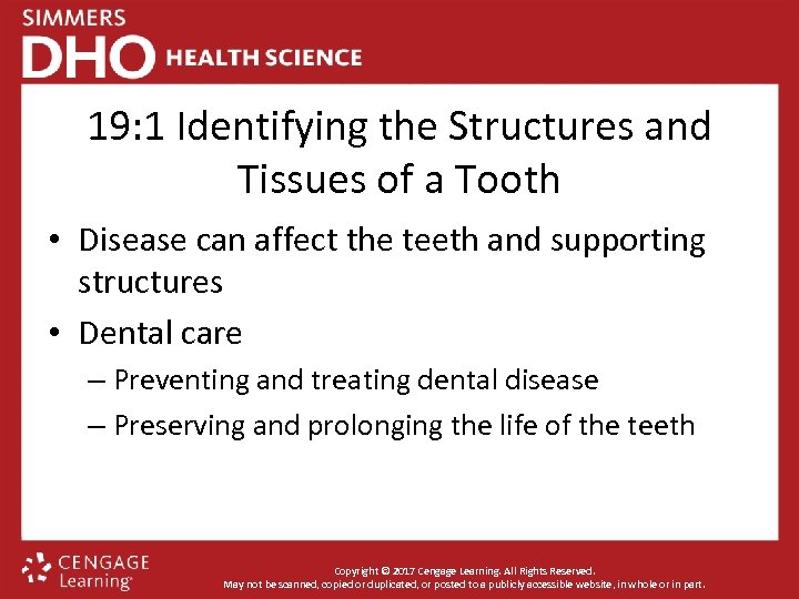 19: 1 Identifying the Structures and Tissues of a Tooth • Disease can affect