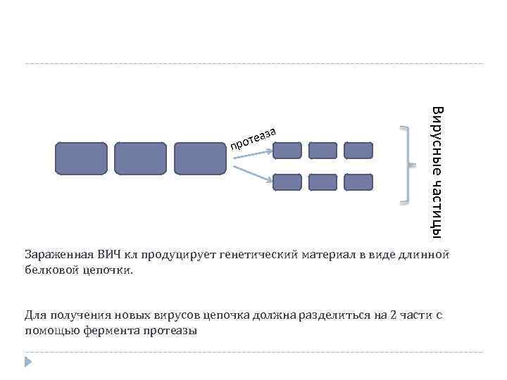  Вирусные частицы за отеа пр Зараженная ВИЧ кл продуцирует генетический материал в виде