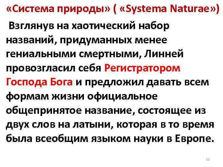  «Система природы» ( «Systema Naturae» ) Взглянув на хаотический набор названий, придуманных менее