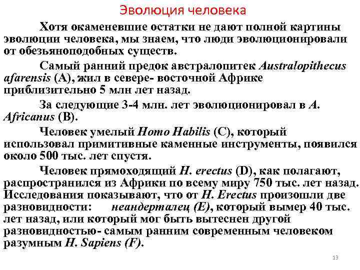 Эволюция человека Хотя окаменевшие остатки не дают полной картины эволюции человека, мы знаем, что