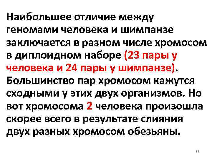 Сколько хромосом у шимпанзе. Хромосомы человека и шимпанзе сравнение. Сравните хромосомы человека и хромосомы шимпанзе сделайте вывод. Сравните число хромосом в разных группах у человека и шимпанзе. Число хромосом у приматов.