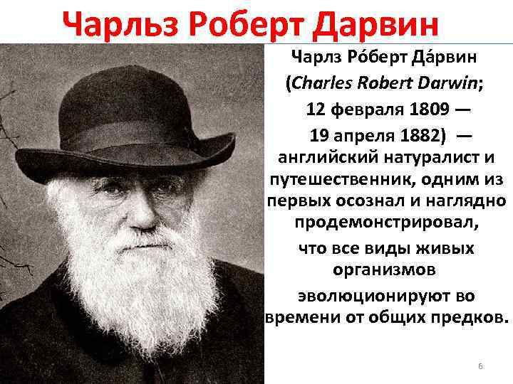 Чарльз Роберт Дарвин Чарлз Ро берт Да рвин (Charles Robert Darwin; 12 февраля 1809