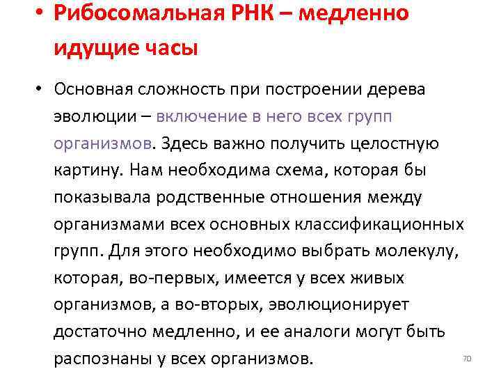  • Рибосомальная РНК – медленно идущие часы • Основная сложность при построении дерева