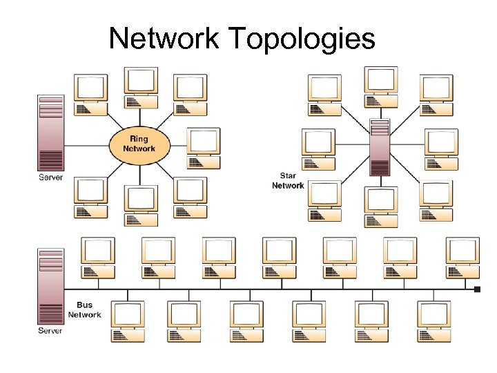 Network Topologies 