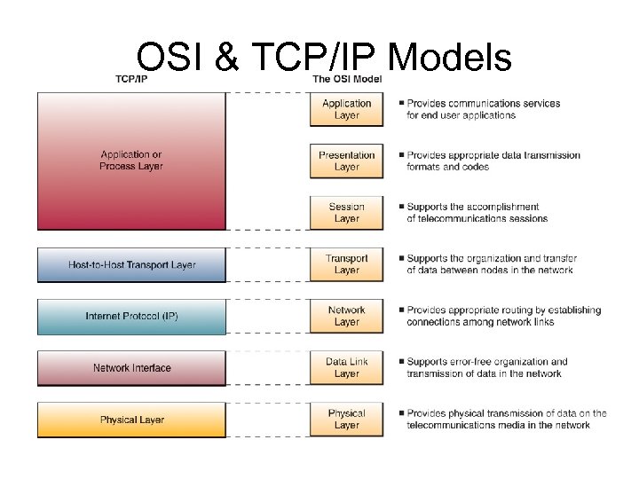 OSI & TCP/IP Models 