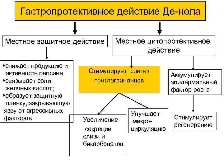 Гастропротективное действие Де-нола Местное защитное действие • снижает продукцию и активность пепсина • связывает