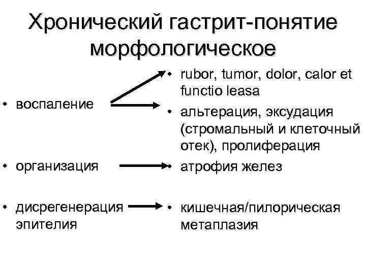 Хронический гастрит-понятие морфологическое • организация • rubor, tumor, dolor, calor et functio leasa •