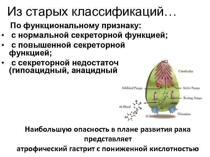 Из старых классификаций… По функциональному признаку: • с нормальной секреторной функцией; • с повышенной