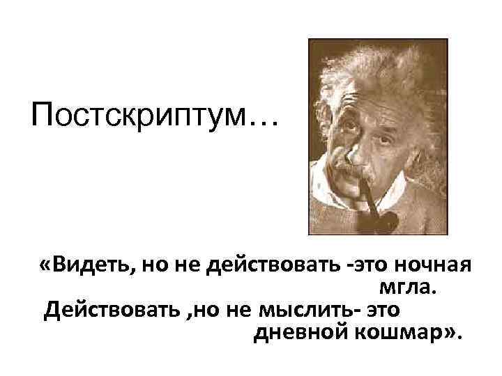 Постскриптум… «Видеть, но не действовать -это ночная мгла. Действовать , но не мыслить- это