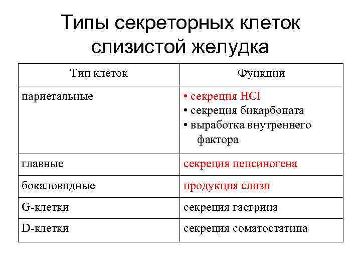 Типы секреторных клеток слизистой желудка Тип клеток Функции париетальные • секреция HCI • секреция