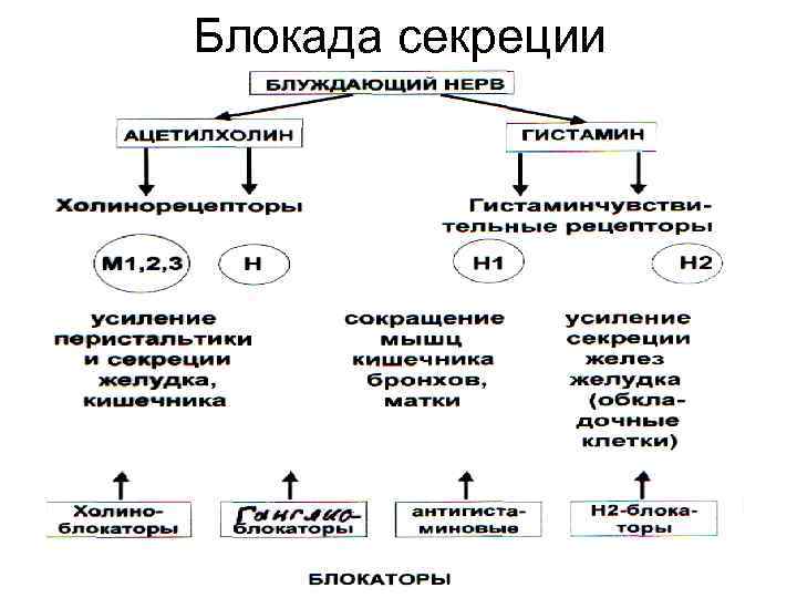 Блокада секреции 