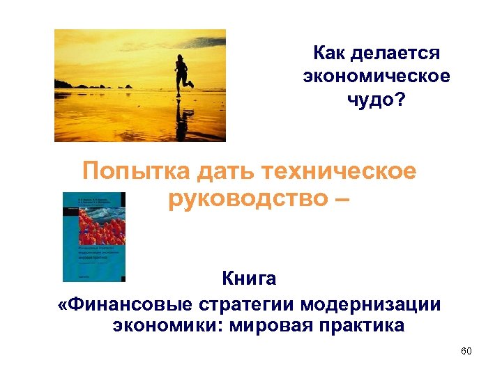 Как делается экономическое чудо? Попытка дать техническое руководство – Книга «Финансовые стратегии модернизации экономики: