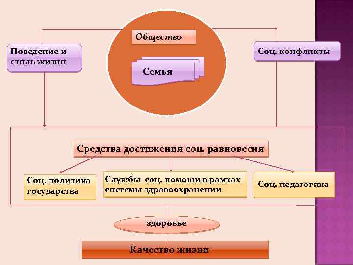 Общество Поведение и стиль жизни Соц. конфликты Семья Средства достижения соц. равновесия Соц. политика