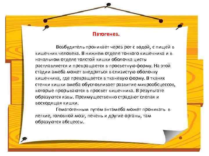 Патогенез. Возбудитель проникает через рот с водой, с пищей в кишечник человека. В нижнем