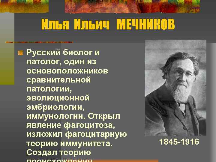 Илья Ильич МЕЧНИКОВ Русский биолог и патолог, один из основоположников сравнительной патологии, эволюционной эмбриологии,