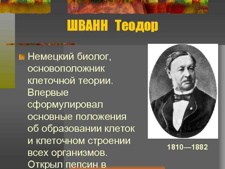 ШВАНН Теодор Немецкий биолог, основоположник клеточной теории. Впервые сформулировал основные положения об образовании клеток