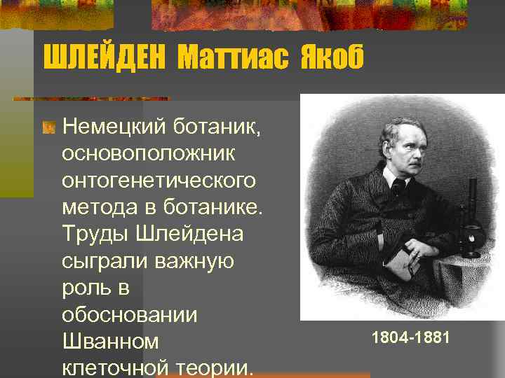 ШЛЕЙДЕН Маттиас Якоб Немецкий ботаник, основоположник онтогенетического метода в ботанике. Труды Шлейдена сыграли важную