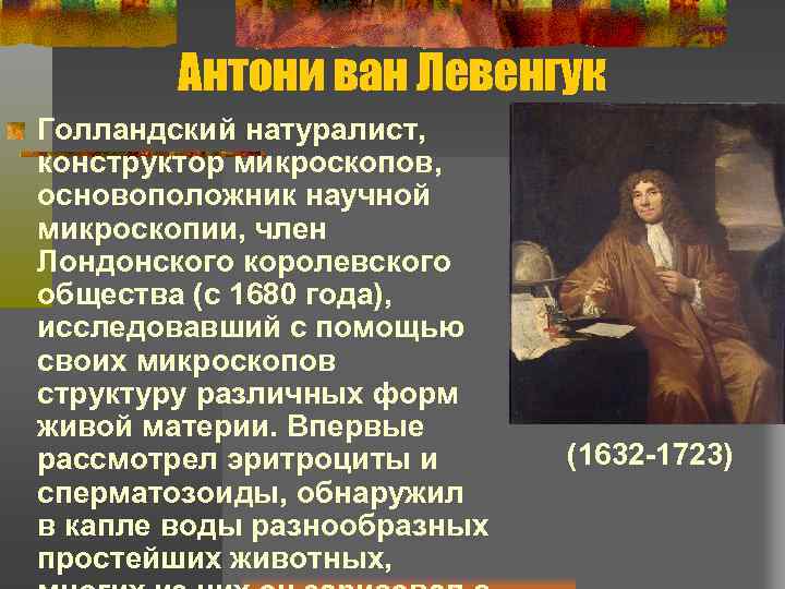 Антони ван Левенгук Голландский натуралист, конструктор микроскопов, основоположник научной микроскопии, член Лондонского королевского общества