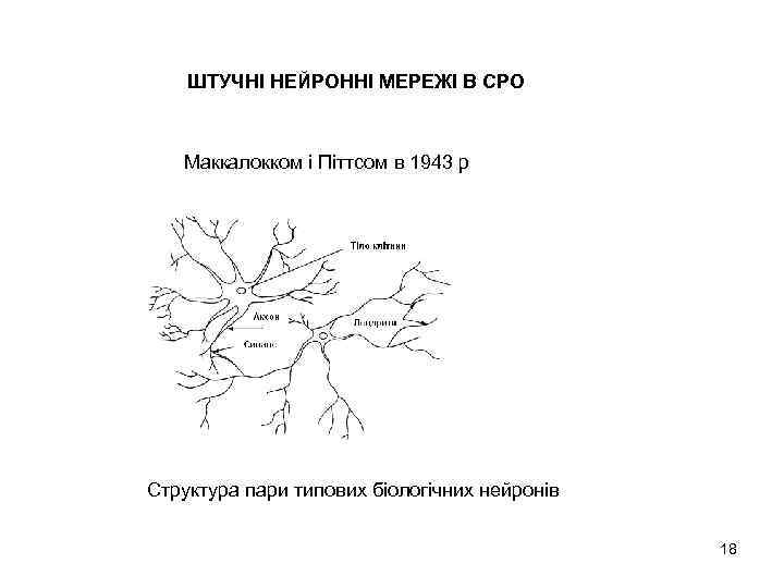 ШТУЧНІ НЕЙРОННІ МЕРЕЖІ В СРО Маккалокком і Піттсом в 1943 р Структура пари типових