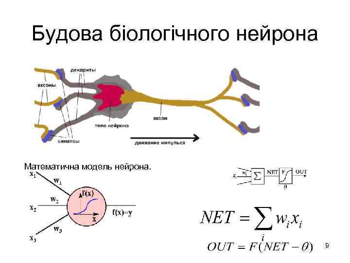 Будова біологічного нейрона Математична модель нейрона. 9 