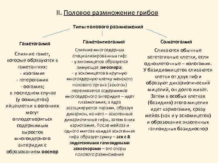 II. Половое размножение грибов Типы полового размножения Гаметогамия Гаметангиогамия Слияние многоядерных Слияние гамет, специализированных