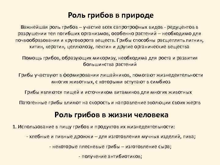 Роль грибов в природе Важнейшая роль грибов – участие всех сапротрофных видов - редуцентов