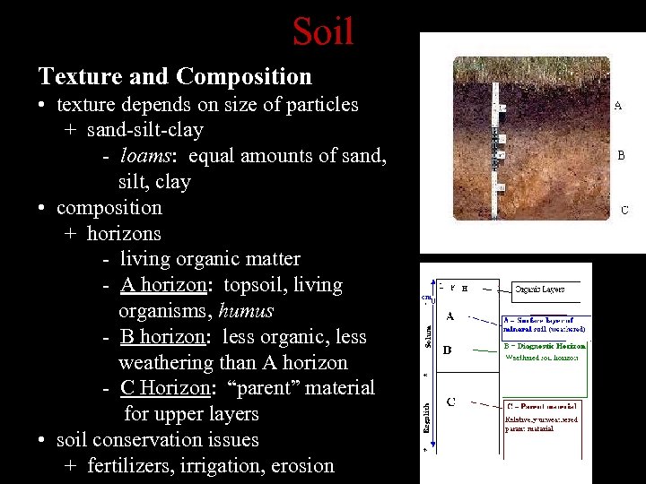 Soil Texture and Composition • texture depends on size of particles + sand-silt-clay -