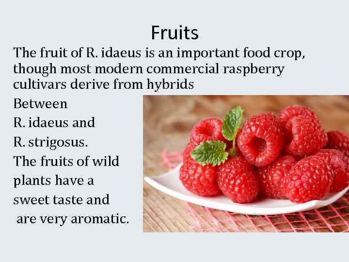 Fruits The fruit of R. idaeus is an important food crop, though most modern