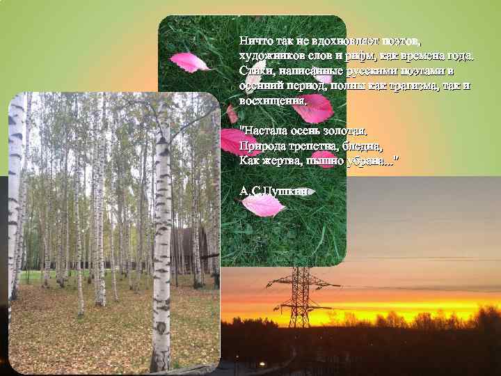 Ничто так не вдохновляет поэтов, художников слов и рифм, как времена года. Стихи, написанные