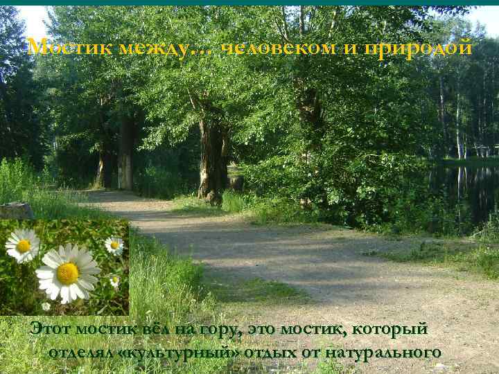 Мостик между… человеком и природой Этот мостик вёл на гору, это мостик, который отделял