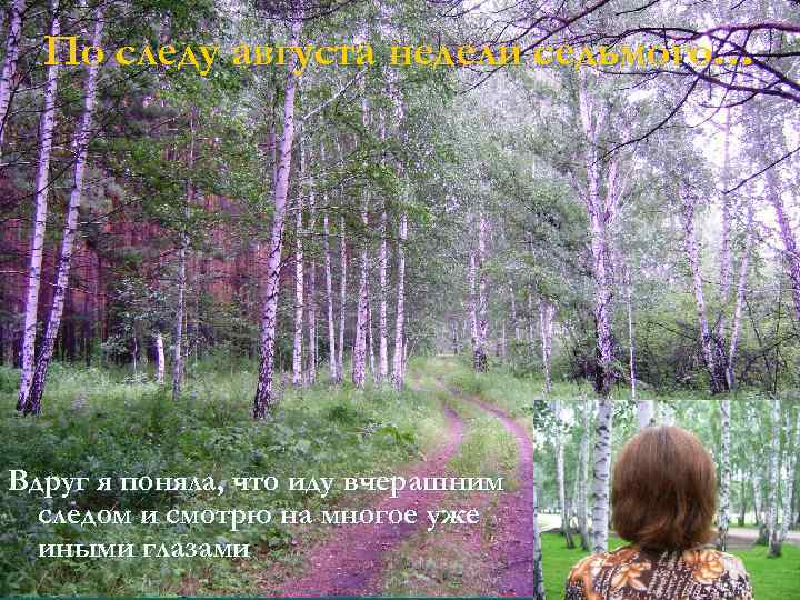 По следу августа недели седьмого… Вдруг я поняла, что иду вчерашним следом и смотрю