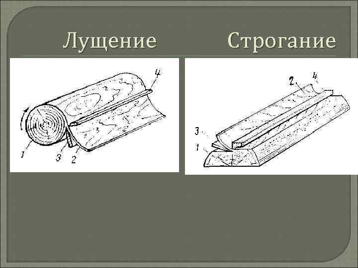 Схема лущения древесины