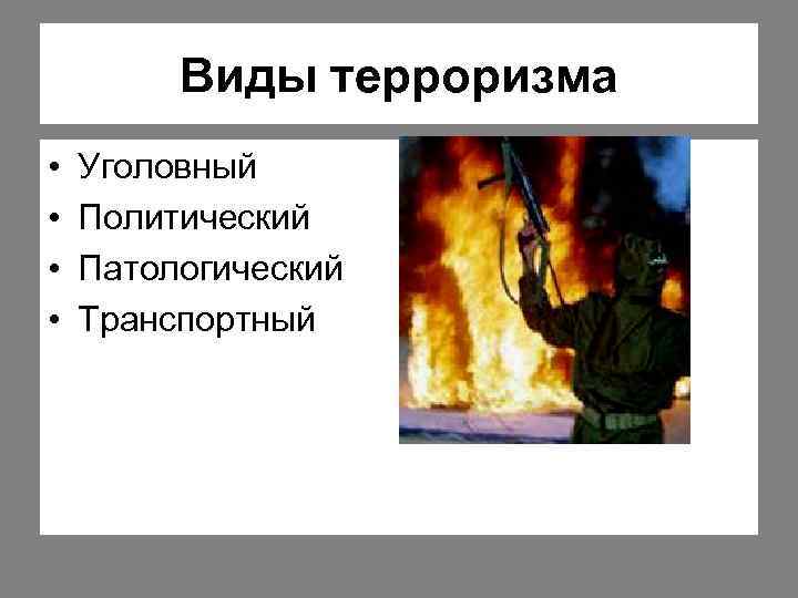 Виды терроризма • • Уголовный Политический Патологический Транспортный 