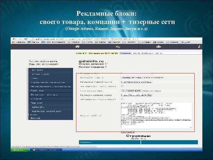 Рекламные блоки: своего товара, компании + тизерные сети (Google Аdsens, Яндекс Директ, Бегун и