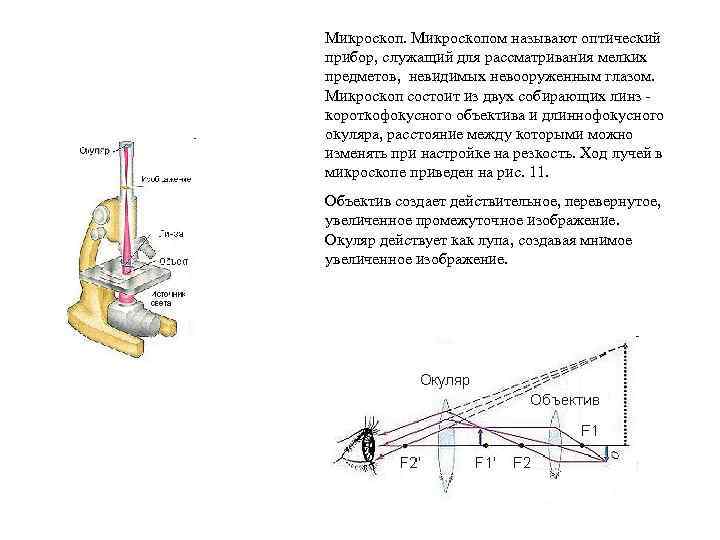 Микроскопом называют оптический прибор, служащий для рассматривания мелких предметов, невидимых невооруженным глазом. Микроскоп состоит