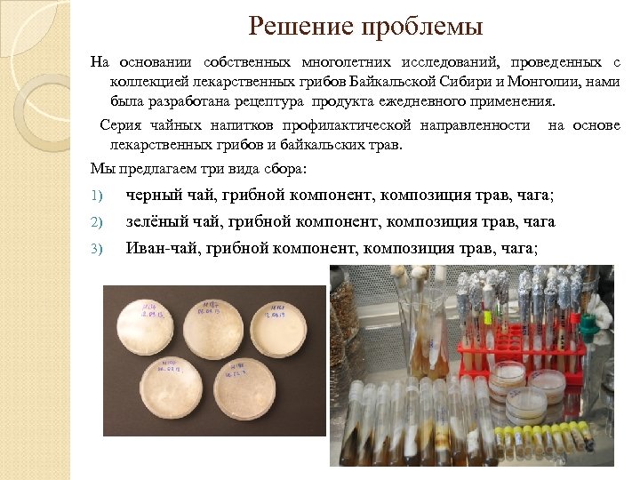 Решение проблемы На основании собственных многолетних исследований, проведенных с коллекцией лекарственных грибов Байкальской Сибири