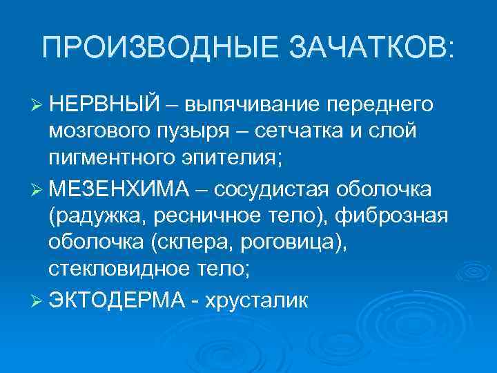 ПРОИЗВОДНЫЕ ЗАЧАТКОВ: Ø НЕРВНЫЙ – выпячивание переднего мозгового пузыря – сетчатка и слой пигментного