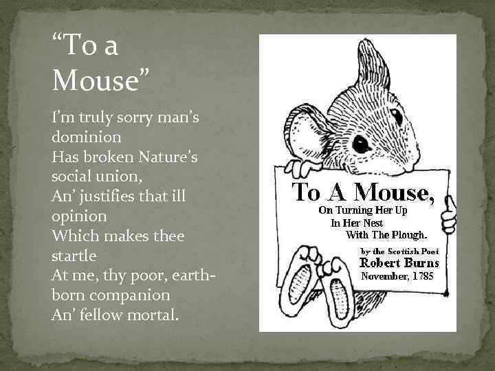 “To a Mouse” I’m truly sorry man’s dominion Has broken Nature’s social union, An’