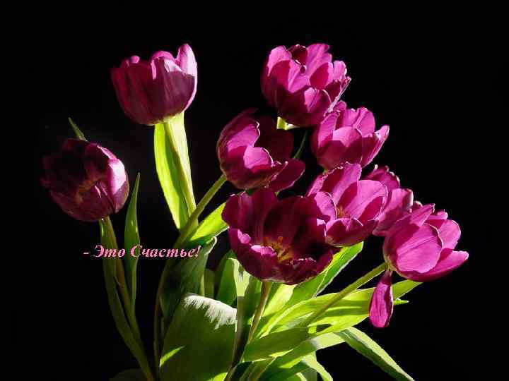 - Это Счастье! 