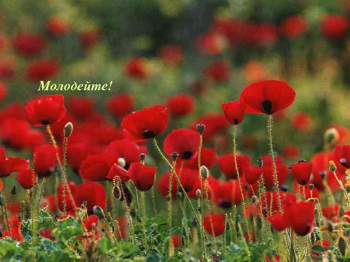 Молодейте! 