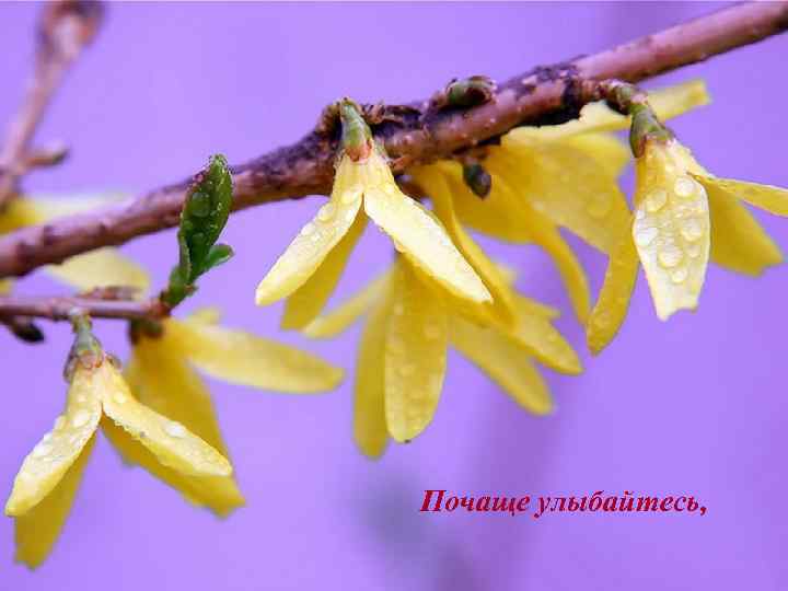 Почаще улыбайтесь, 