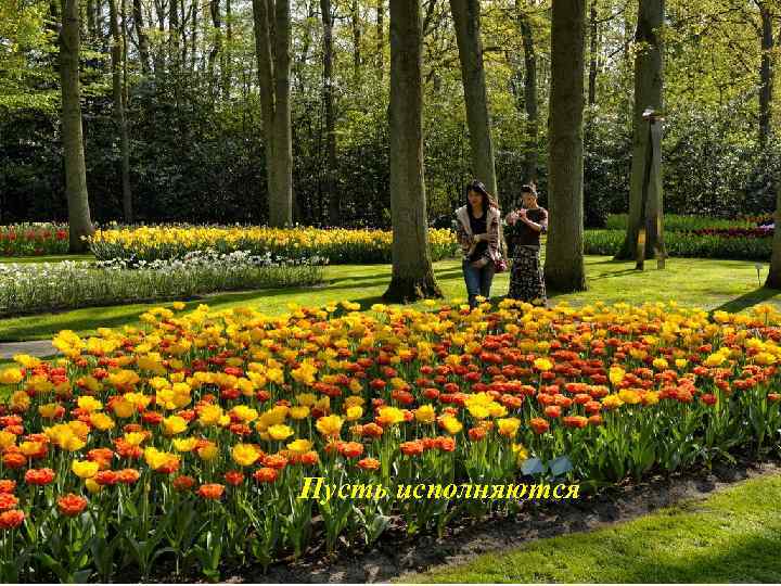 Пусть исполняются 