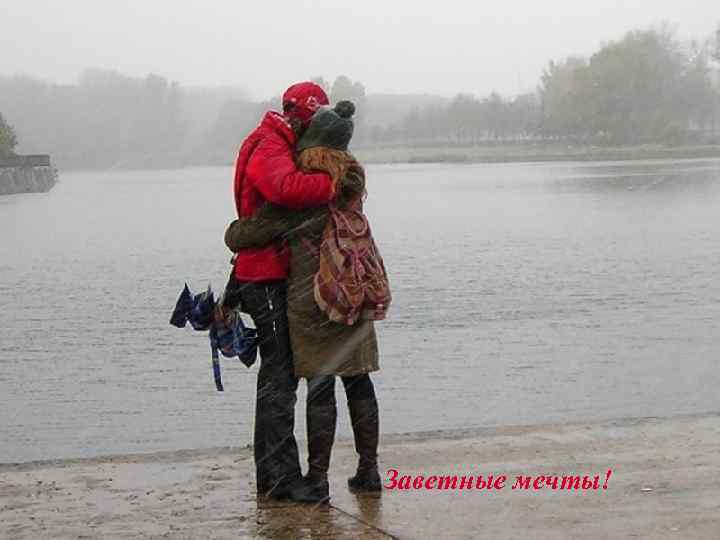 Заветные мечты! 