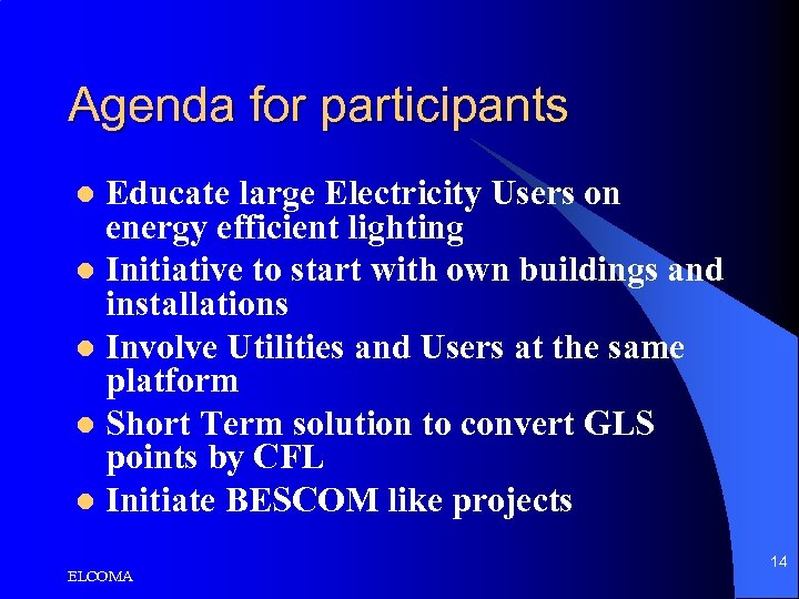 Agenda for participants Educate large Electricity Users on energy efficient lighting l Initiative to