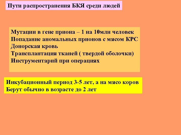 Пути распространения БКЯ среди людей Мутации в гене приона – 1 на 10 млн