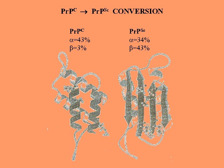 Pr. PC Pr. PSc CONVERSION Pr. PC =43% =3% Pr. PSc =34% =43% 